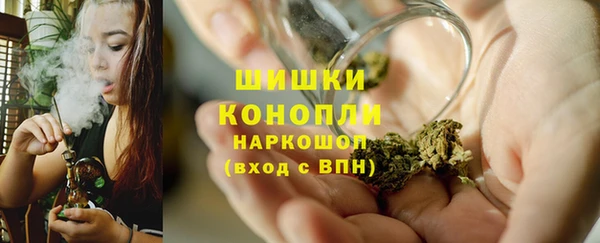 ГАЛЛЮЦИНОГЕННЫЕ ГРИБЫ Аркадак