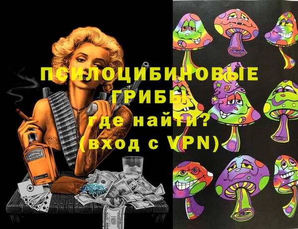Альфа ПВП Алексин