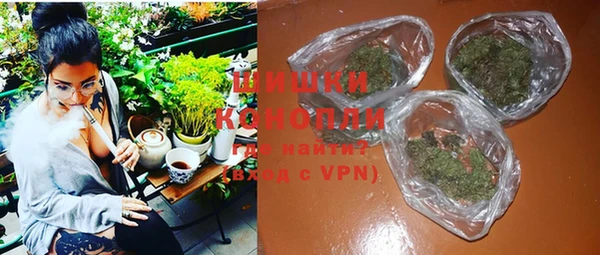 гидропоника Алзамай
