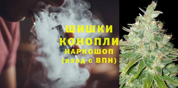 гидропоника Алзамай