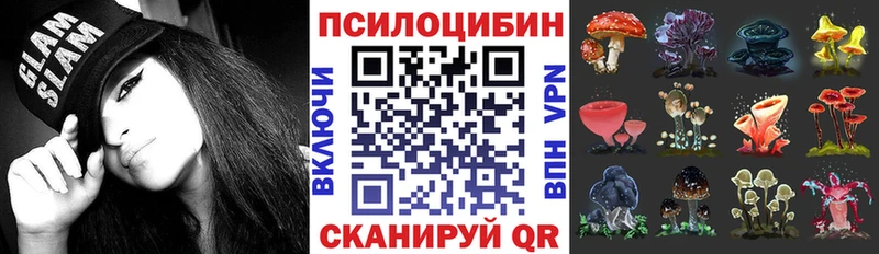 ОМГ ОМГ зеркало  как найти   Аша  Псилоцибиновые грибы мицелий 